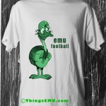 Emu plays football.