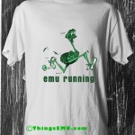 emu running fast.
