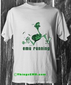 emu running fast.