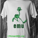 emu walking on campus